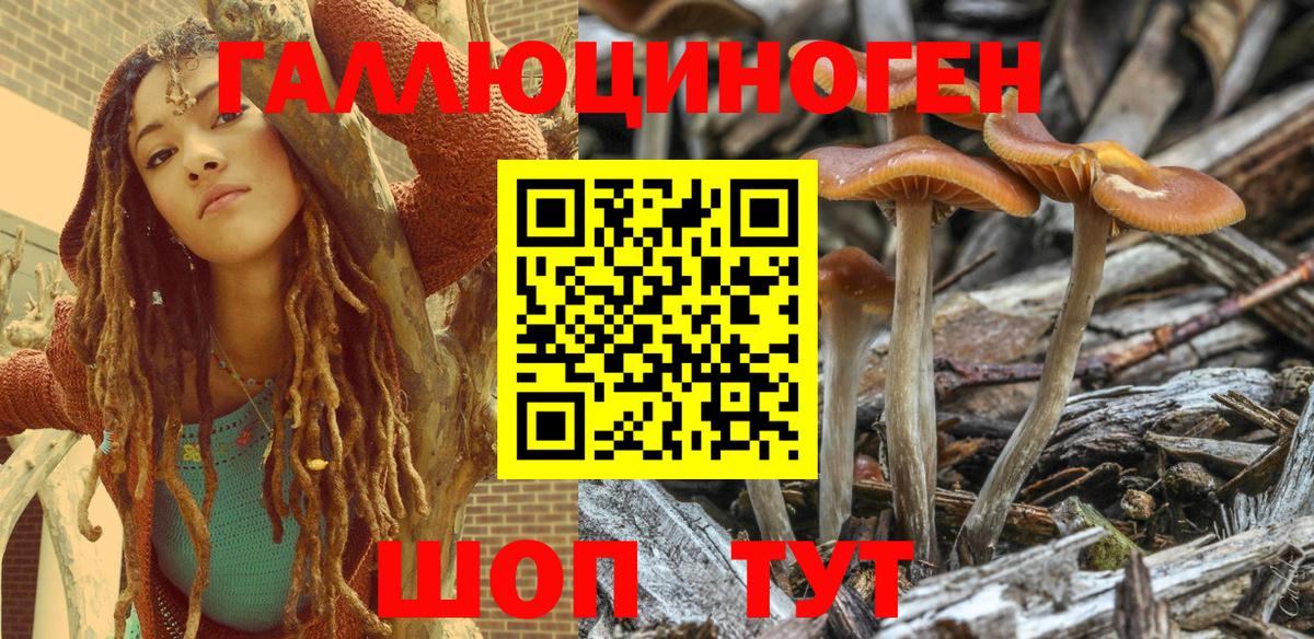 Псилоцибиновые грибы Psilocybe  Псилоцибиновые грибы мухоморы  что такое наркотик  Донской  Вход с VPN 