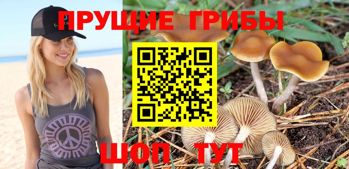 Галлюциногенные грибы GOLDEN TEACHER Донской