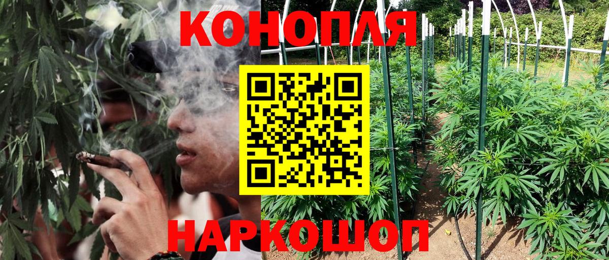 Каннабис Bruce Banner  Вход с VPN  Конопля тримм  Донской  Каннабис THC 21% 